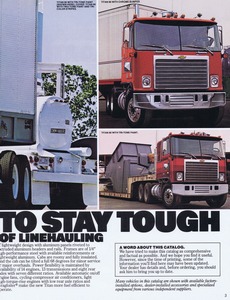 1980 Chevrolet Titan-03.jpg